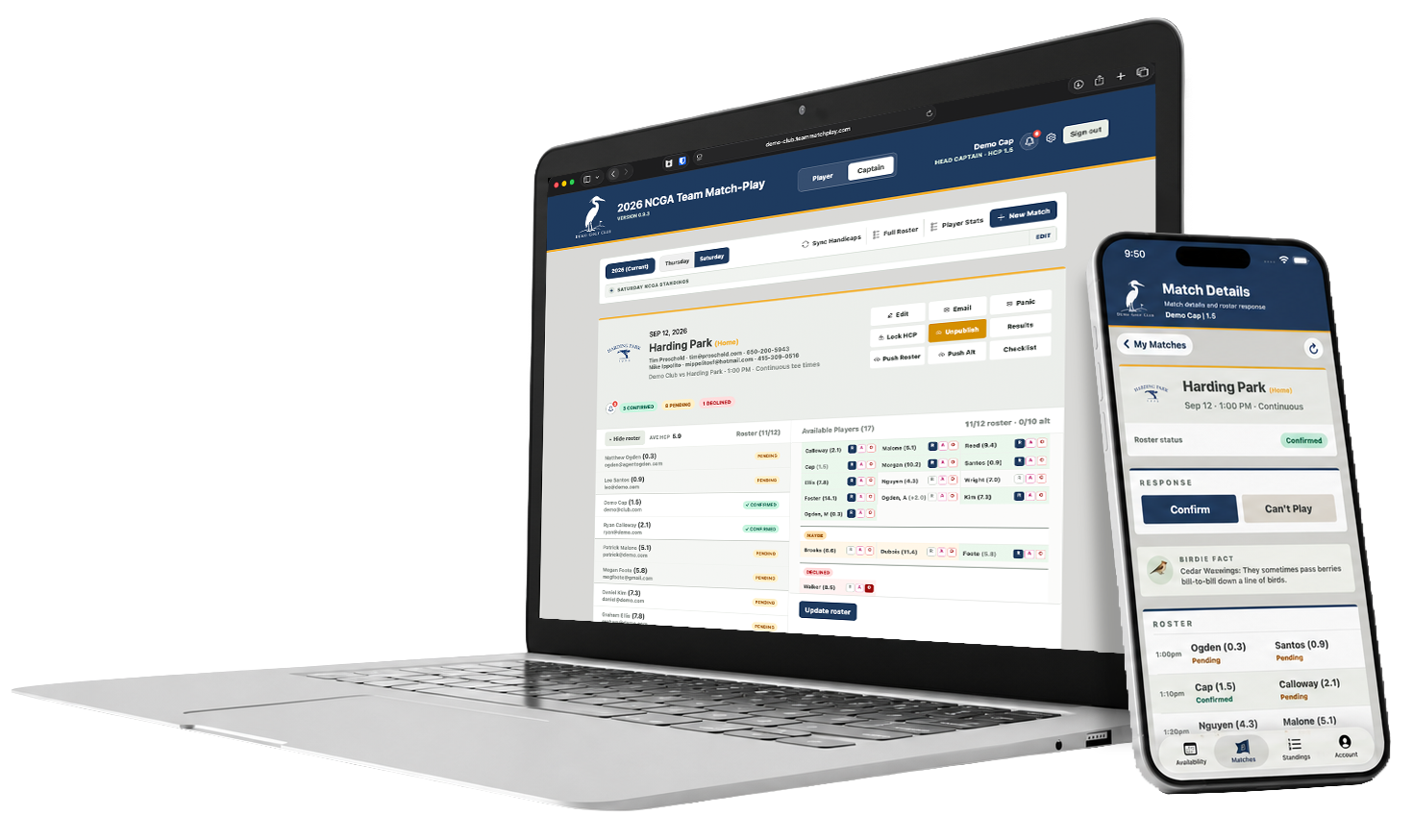 Captain dashboard browser view