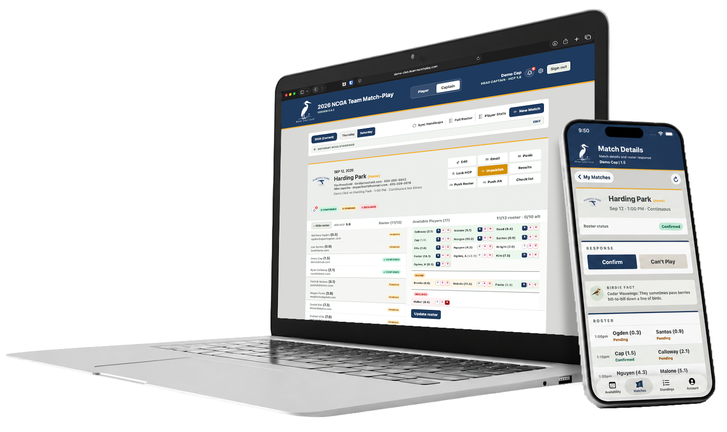 Captain dashboard browser view